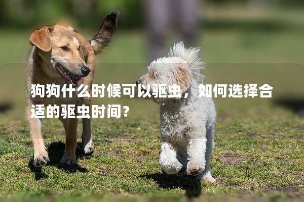 狗狗什么時(shí)候可以驅(qū)蟲(chóng)，如何選擇合適的驅(qū)蟲(chóng)時(shí)間？