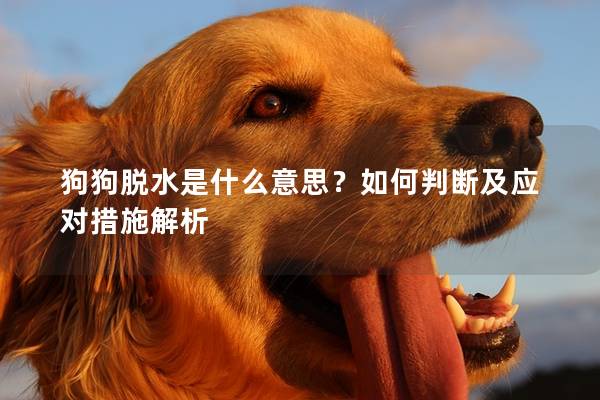 狗狗脫水是什么意思？如何判斷及應對措施解析