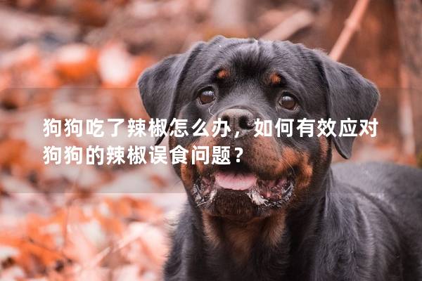 狗狗吃了辣椒怎么辦，如何有效應對狗狗的辣椒誤食問題？