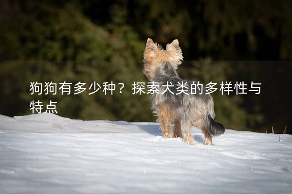 狗狗有多少種？探索犬類的多樣性與特點