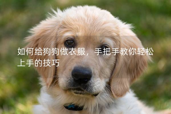 如何給狗狗做衣服，手把手教你輕松上手的技巧