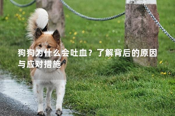 狗狗為什么會吐血？了解背后的原因與應對措施