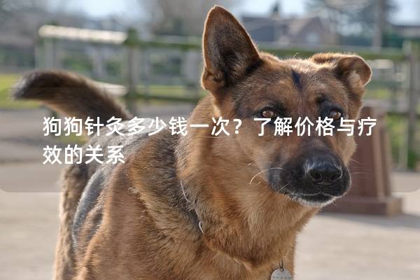 狗狗針灸多少錢一次？了解價格與療效的關系