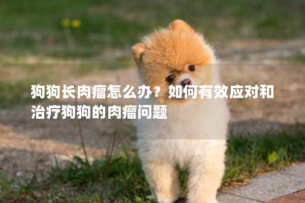 狗狗長肉瘤怎么辦？如何有效應對和治療狗狗的肉瘤問題