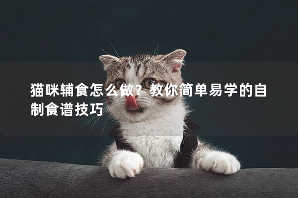 貓咪輔食怎么做？教你簡單易學的自制食譜技巧