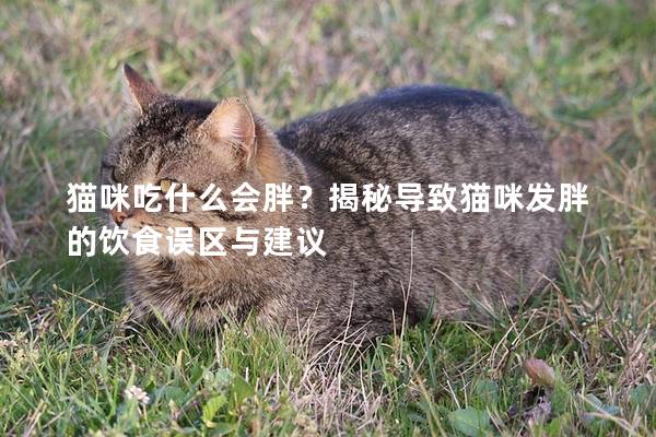 貓咪吃什么會胖？揭秘導致貓咪發(fā)胖的飲食誤區(qū)與建議
