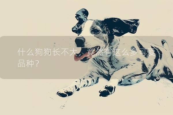 什么狗狗長不大，竟然有這么多可愛品種？