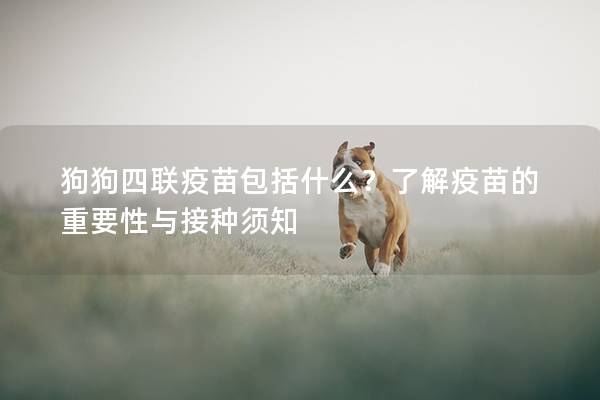 狗狗四聯疫苗包括什么？了解疫苗的重要性與接種須知