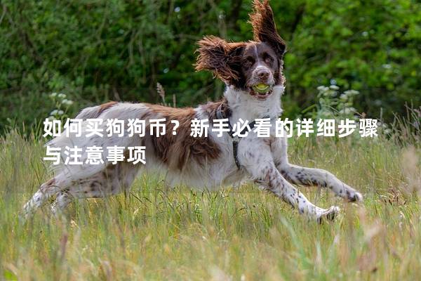 如何買狗狗幣?新手必看的詳細(xì)步驟與注意事項(xiàng) 如何買狗狗幣?新手必看的詳細(xì)步驟與注意事項(xiàng)