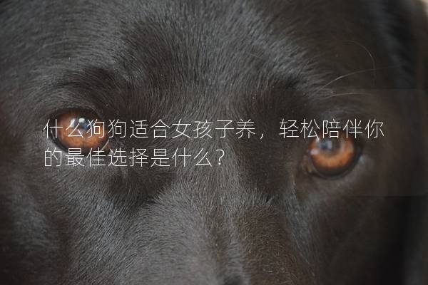 什么狗狗適合女孩子養(yǎng)，輕松陪伴你的最佳選擇是什么？