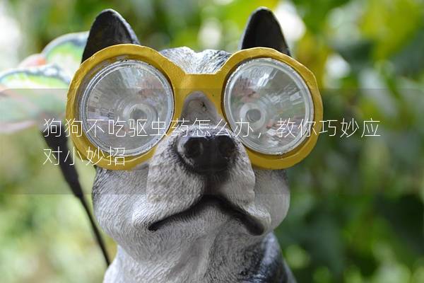 狗狗不吃驅蟲藥怎么辦,教你巧妙應對小妙招 狗狗不吃驅蟲藥怎么辦,教你巧妙應對小妙招