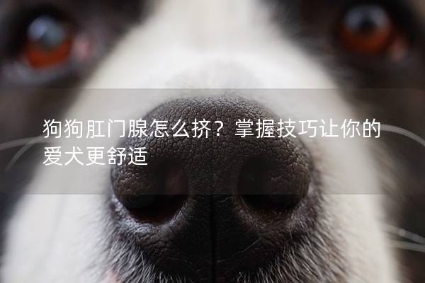 狗狗肛門腺怎么擠？掌握技巧讓你的愛犬更舒適