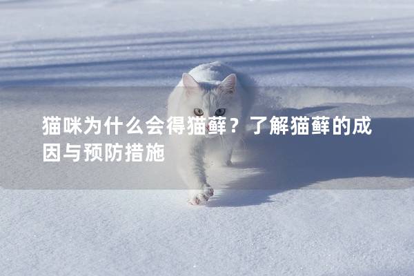 貓咪為什么會(huì)得貓?zhí)\？了解貓?zhí)\的成因與預(yù)防措施
