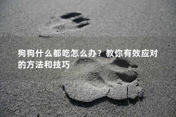 狗狗什么都吃怎么辦？教你有效應對的方法和技巧