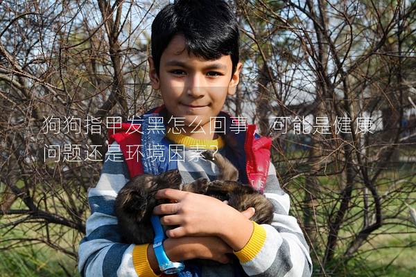 狗狗指甲發黑怎么回事，可能是健康問題還是環境因素？