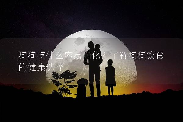 狗狗吃什么容易消化？了解狗狗飲食的健康選擇