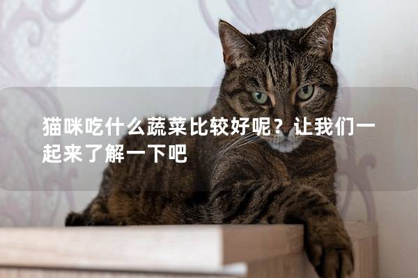 貓咪吃什么蔬菜比較好呢？讓我們一起來了解一下吧