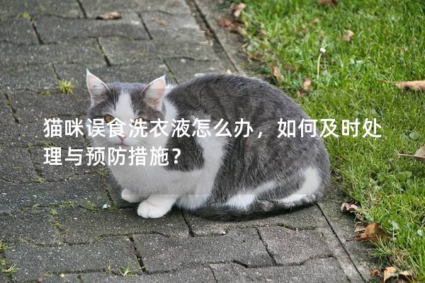貓咪誤食洗衣液怎么辦，如何及時處理與預(yù)防措施？