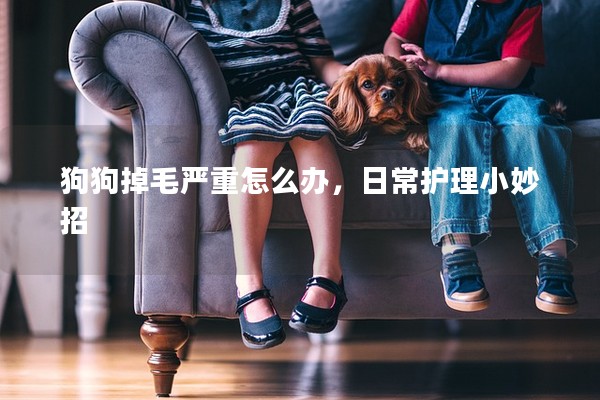 狗狗掉毛嚴重怎么辦，日常護理小妙招