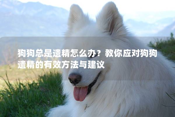 狗狗總是遺精怎么辦？教你應(yīng)對狗狗遺精的有效方法與建議