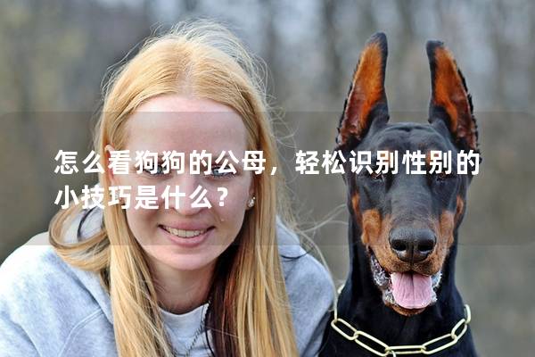 怎么看狗狗的公母，輕松識別性別的小技巧是什么？