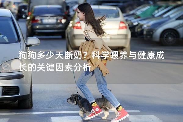 狗狗多少天斷奶？科學喂養與健康成長的關鍵因素分析