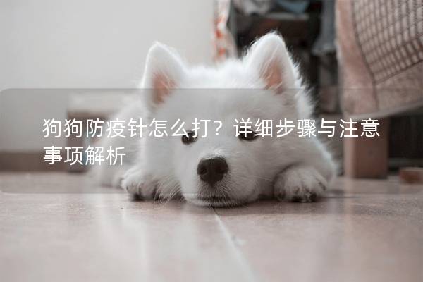 狗狗防疫針怎么打？詳細步驟與注意事項解析