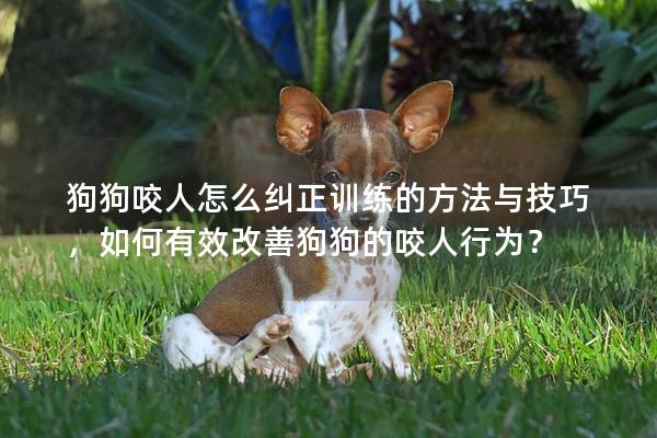 狗狗咬人怎么糾正訓(xùn)練的方法與技巧，如何有效改善狗狗的咬人行為？