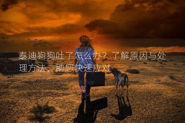 泰迪狗狗吐了怎么辦？了解原因與處理方法，助您快速應對