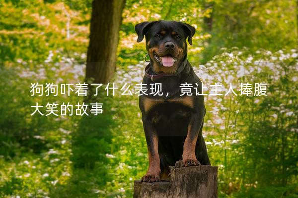 狗狗嚇著了什么表現，竟讓主人捧腹大笑的故事