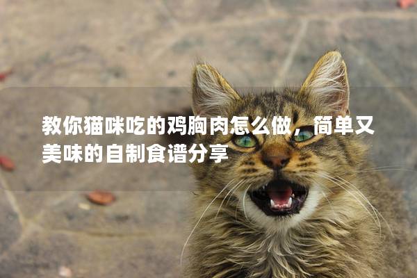 教你貓咪吃的雞胸肉怎么做，簡單又美味的自制食譜分享