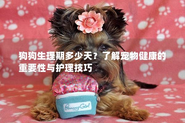 狗狗生理期多少天？了解寵物健康的重要性與護理技巧