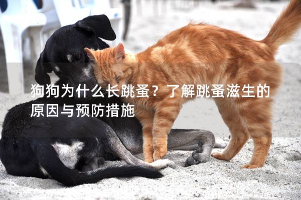 狗狗為什么長跳蚤？了解跳蚤滋生的原因與預防措施