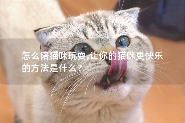 怎么陪貓咪玩耍,讓你的貓咪更快樂的方法是什么？