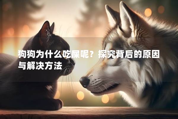 狗狗為什么吃屎呢？探究背后的原因與解決方法