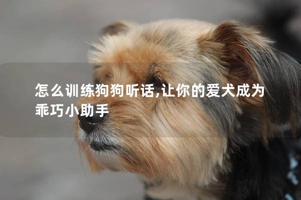 怎么訓練狗狗聽話,讓你的愛犬成為乖巧小助手