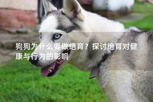 狗狗為什么要做絕育？探討絕育對健康與行為的影響