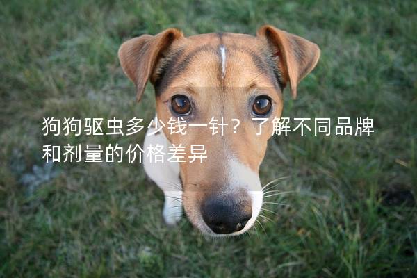 狗狗驅蟲多少錢一針？了解不同品牌和劑量的價格差異