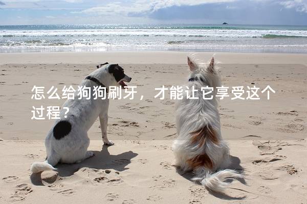 怎么給狗狗刷牙，才能讓它享受這個過程？