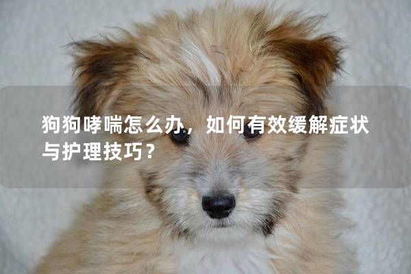 狗狗哮喘怎么辦,如何有效緩解癥狀與護理技巧?