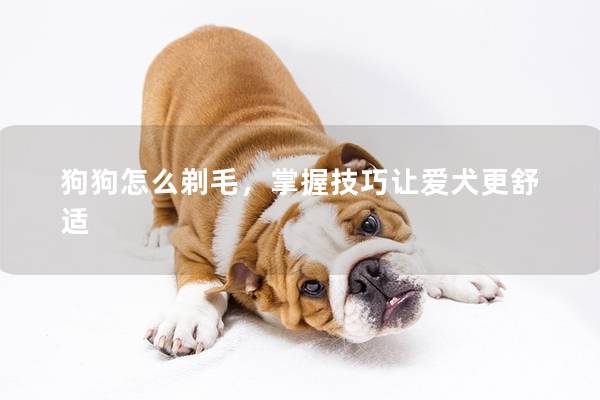 狗狗怎么剃毛，掌握技巧讓愛犬更舒適
