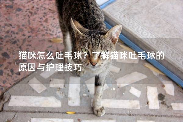 貓咪怎么吐毛球?了解貓咪吐毛球的原因與護理技巧