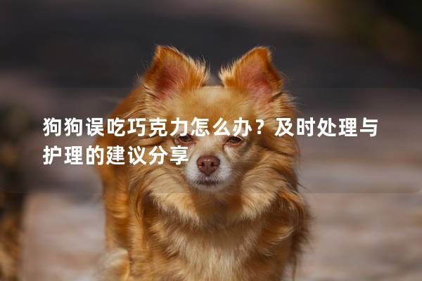 狗狗誤吃巧克力怎么辦？及時處理與護理的建議分享