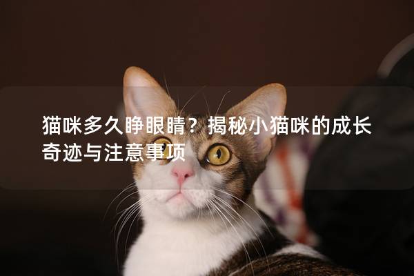 貓咪多久睜眼睛？揭秘小貓咪的成長奇跡與注意事項