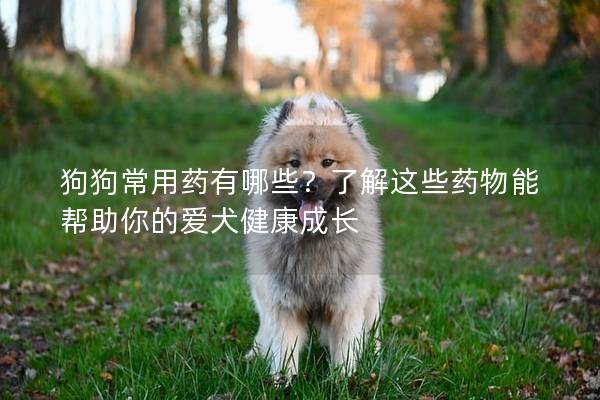 狗狗常用藥有哪些?了解這些藥物能幫助你的愛犬健康成長(zhǎng) 狗狗常用藥有哪些?了解這些藥物能幫助你的愛犬健康成長(zhǎng)
