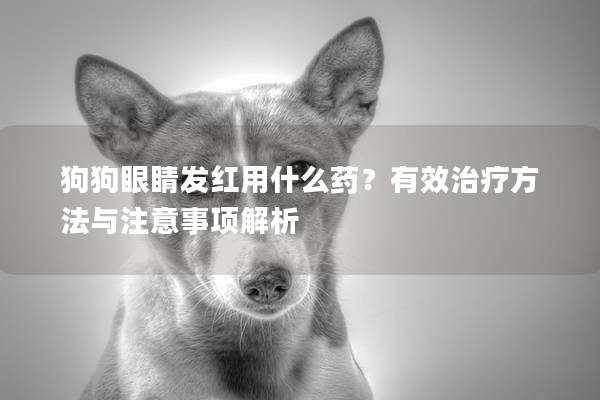 狗狗眼睛發紅用什么藥？有效治療方法與注意事項解析