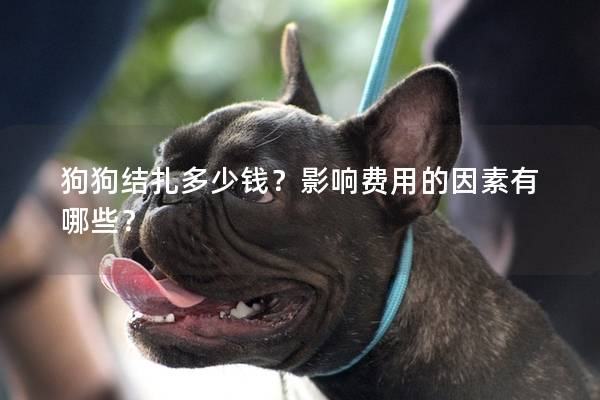 狗狗結扎多少錢？影響費用的因素有哪些？