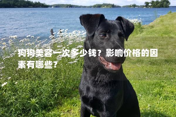狗狗美容一次多少錢？影響價格的因素有哪些？