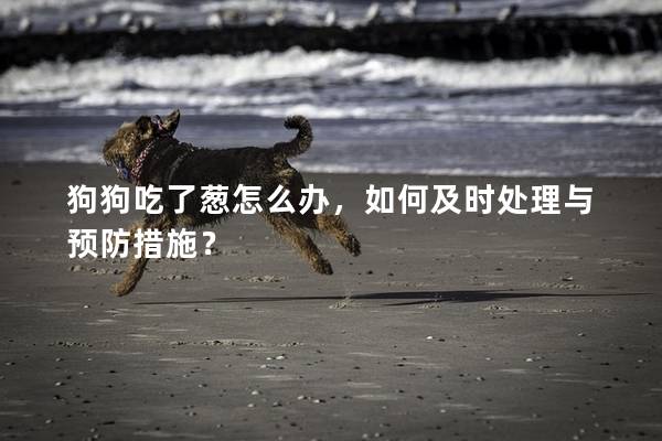 狗狗吃了蔥怎么辦，如何及時處理與預防措施？