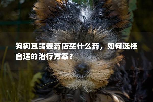 狗狗耳螨去藥店買什么藥，如何選擇合適的治療方案？